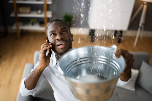 Best Carpet water damage restoration  in Hueytown, AL