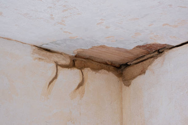 Best Water damage restoration near me  in Hueytown, AL