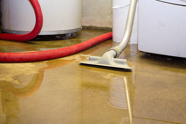 Best Water damage cleanup near me  in Hueytown, AL